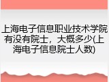 上海电子信息职业技术学院有没有院士，大概多少(上海电子信息院士人数)