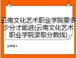 云南文化艺术职业学院要多少分才能进(云南文化艺术职业学院录取分数线)
