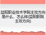 益阳职业技术学院主攻方向是什么，怎么样(益阳职院主攻方向)