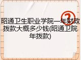 昭通卫生职业学院一年财政拨款大概多少钱(昭通卫院年拨款)