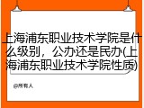 上海浦东职业技术学院是什么级别，公办还是民办(上海浦东职业技术学院性质)