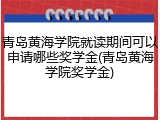 青岛黄海学院就读期间可以申请哪些奖学金(青岛黄海学院奖学金)