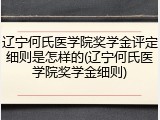 辽宁何氏医学院奖学金评定细则是怎样的(辽宁何氏医学院奖学金细则)