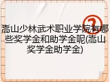 嵩山少林武术职业学院有哪些奖学金和助学金呢(嵩山奖学金助学金)