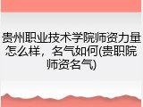 贵州职业技术学院师资力量怎么样，名气如何(贵职院师资名气)