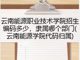 云南能源职业技术学院招生编码多少，隶属哪个部门(云南能源学院代码归属)