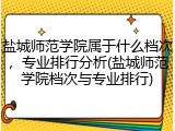 盐城师范学院属于什么档次，专业排行分析(盐城师范学院档次与专业排行)