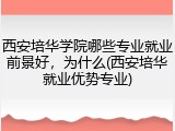 西安培华学院哪些专业就业前景好，为什么(西安培华就业优势专业)