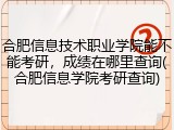合肥信息技术职业学院能不能考研，成绩在哪里查询(合肥信息学院考研查询)