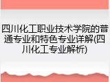四川化工职业技术学院的普通专业和特色专业详解(四川化工专业解析)