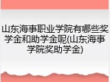 山东海事职业学院有哪些奖学金和助学金呢(山东海事学院奖助学金)