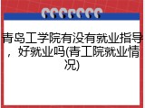 青岛工学院有没有就业指导，好就业吗(青工院就业情况)