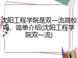 沈阳工程学院是双一流高校吗，简单介绍(沈阳工程学院双一流)
