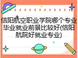 信阳航空职业学院哪个专业毕业就业前景比较好(信阳航院好就业专业)