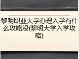 黎明职业大学办理入学有什么攻略没(黎明大学入学攻略)