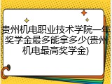 贵州机电职业技术学院一年奖学金最多能拿多少(贵州机电最高奖学金)