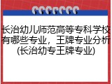 长治幼儿师范高等专科学校有哪些专业，王牌专业分析(长治幼专王牌专业)