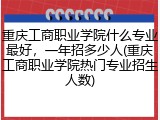 重庆工商职业学院什么专业最好，一年招多少人(重庆工商职业学院热门专业招生人数)