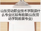 山东劳动职业技术学院读什么专业比较有前景(山东劳动学院前景专业)