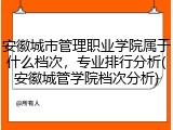 安徽城市管理职业学院属于什么档次，专业排行分析(安徽城管学院档次分析)