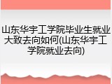 山东华宇工学院毕业生就业大致去向如何(山东华宇工学院就业去向)