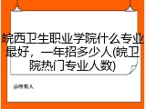 皖西卫生职业学院什么专业最好，一年招多少人(皖卫院热门专业人数)