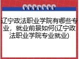 辽宁政法职业学院有哪些专业，就业前景如何(辽宁政法职业学院专业就业)