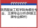 陕西服装工程学院有哪些专业，王牌专业分析(陕服王牌专业解析)