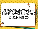 大同煤炭职业技术学院一年财政拨款大概多少钱(大同煤炭职院拨款)