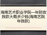 海南艺术职业学院一年财政拨款大概多少钱(海南艺院年拨款)