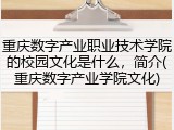 重庆数字产业职业技术学院的校园文化是什么，简介(重庆数字产业学院文化)