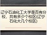 辽宁石油化工大学是否有分校，共有多少个校区(辽宁石化大几个校区)