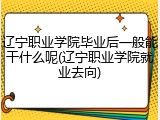 辽宁职业学院毕业后一般能干什么呢(辽宁职业学院就业去向)