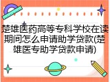 楚雄医药高等专科学校在读期间怎么申请助学贷款(楚雄医专助学贷款申请)