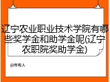 辽宁农业职业技术学院有哪些奖学金和助学金呢(辽宁农职院奖助学金)