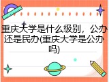 重庆大学是什么级别，公办还是民办(重庆大学是公办吗)