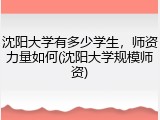 沈阳大学有多少学生，师资力量如何(沈阳大学规模师资)