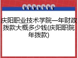 庆阳职业技术学院一年财政拨款大概多少钱(庆阳职院年拨款)