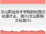 文山职业技术学院的校园文化是什么，简介(文山职院文化简介)