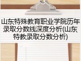 山东特殊教育职业学院历年录取分数线深度分析(山东特教录取分数分析)
