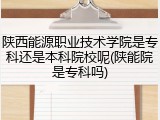 陕西能源职业技术学院是专科还是本科院校呢(陕能院是专科吗)