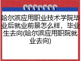 哈尔滨应用职业技术学院毕业后就业前景怎么样，毕业生去向(哈尔滨应用职院就业去向)