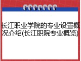 长江职业学院的专业设置概况介绍(长江职院专业概览)
