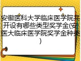 安徽医科大学临床医学院共开设有哪些类型奖学金(安医大临床医学院奖学金种类)