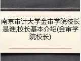 南京审计大学金审学院校长是谁,校长基本介绍(金审学院校长)