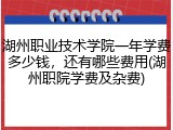 湖州职业技术学院一年学费多少钱，还有哪些费用(湖州职院学费及杂费)