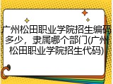 广州松田职业学院招生编码多少,隶属哪个部门(广州松田职业学院招生代码)