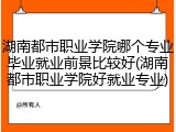 湖南都市职业学院哪个专业毕业就业前景比较好(湖南都市职业学院好就业专业)