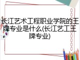 长江艺术工程职业学院的王牌专业是什么(长江艺工王牌专业)