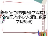 贵州铜仁数据职业学院有几个校区,有多少人(铜仁数据学院规模)